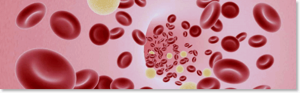 blood_cells