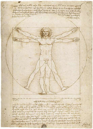 vitruvian